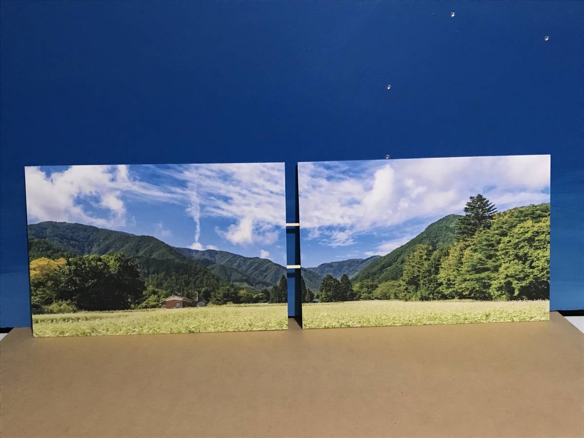 背景パネル 高画質 そばの花と山2パネル N Ho つない 広がる背景パネル クリックポスト１箱198円 送れます ストラクチャー 売買されたオークション情報 Yahooの商品情報をアーカイブ公開 オークファン Aucfan Com