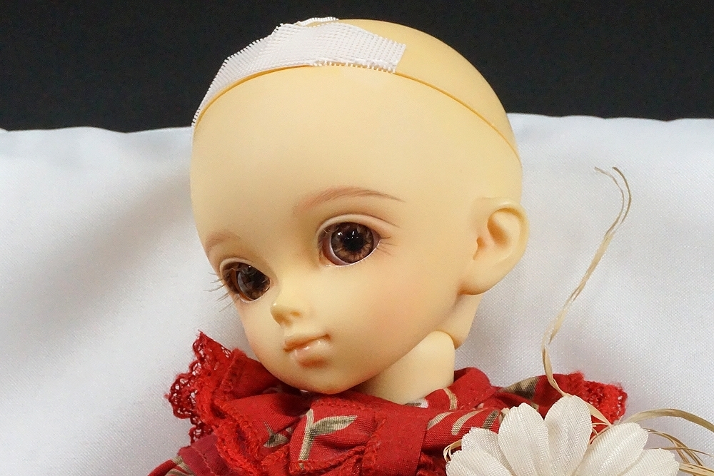 幼SD千夏本体 中古 （☆ VOLKS ボークス 幼SD スーパードルフィー 千夏 