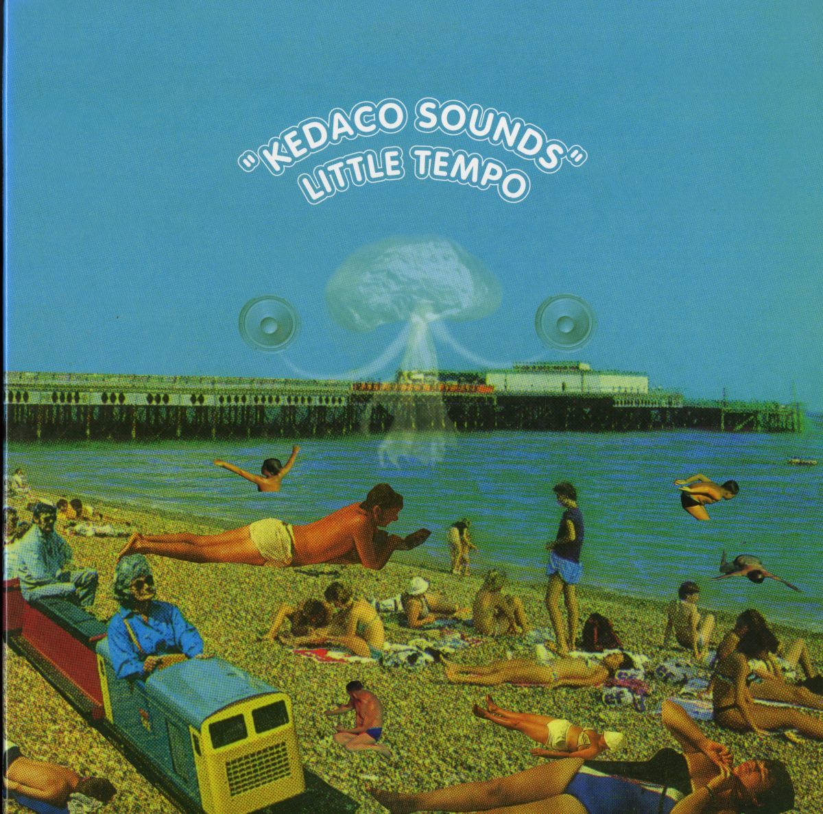 TEMPO LITTLE KEDACO - ⁄ レコード BORN IS -little tempo(レコード)の
