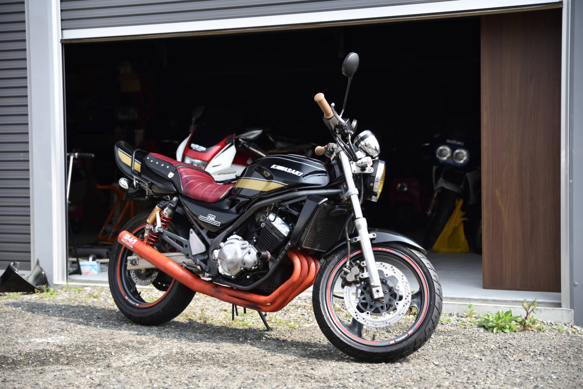 バリオス GSX250FX ガレージ保管 カスタム多数 書類あり 俺が勝手に 