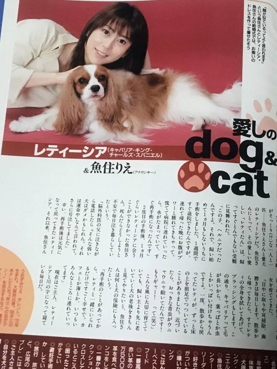 傷有 品 グラビアページなどのみ 週刊現代 ２００４年８月２１ ２８日号 細川ふみえ 井上和香 安田美沙子 魚住りえ その他 売買されたオークション情報 Yahooの商品情報をアーカイブ公開 オークファン Aucfan Com