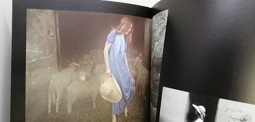 写□デヴィッド・ハミルトン 洋書写真集 Dreams of a young girls
