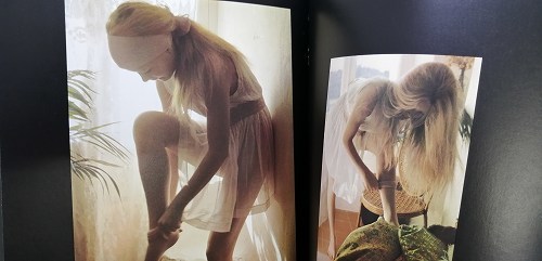 写□デヴィッド・ハミルトン 洋書写真集 Dreams of a young girls