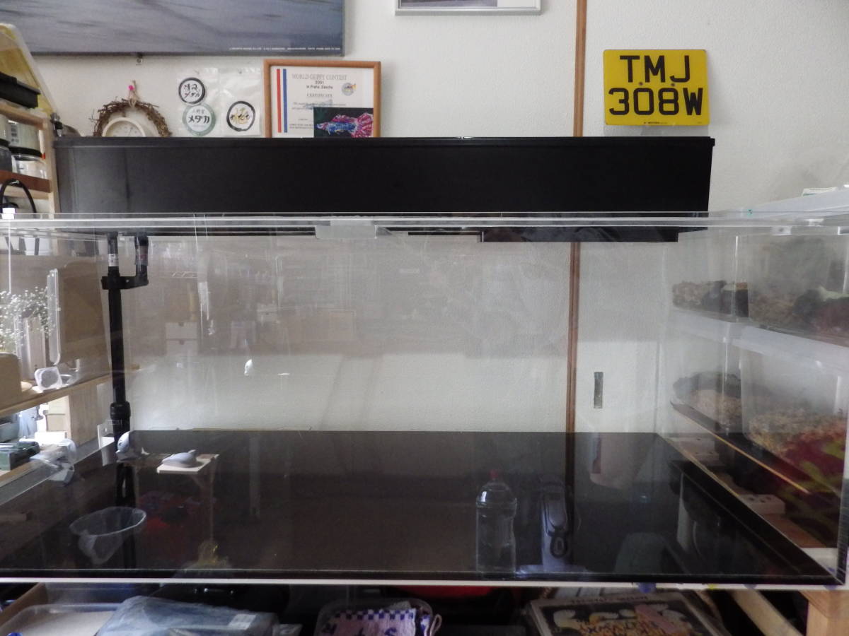 600×450水槽用ラック ブラック 600×450水槽用ラック 楽天市場】水槽