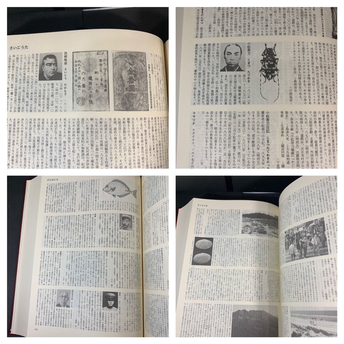 鹿児島大百科事典 鹿児島 南日本新聞社 別冊付き 貴重 資料 歴史 薩摩