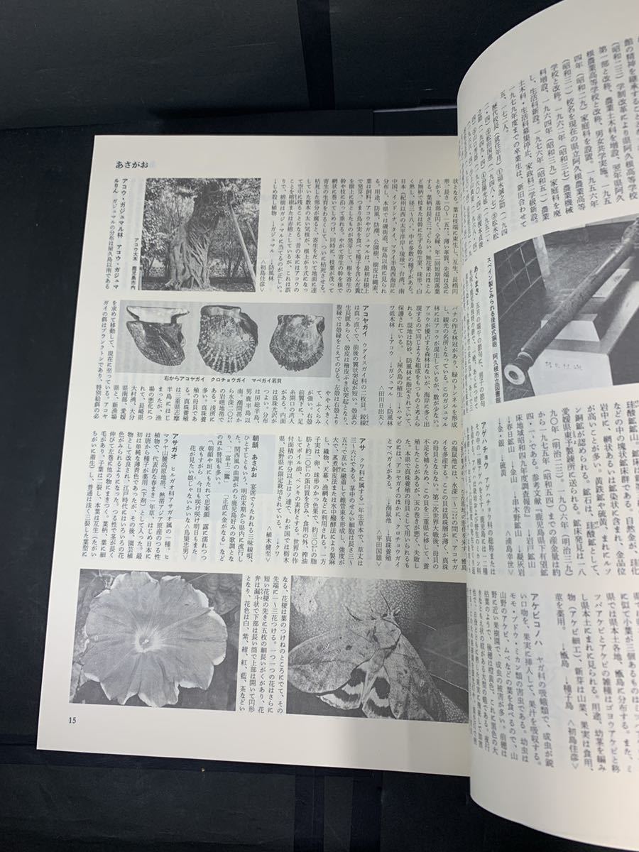 鹿児島大百科事典 鹿児島 南日本新聞社 別冊付き 貴重 資料 歴史 薩摩