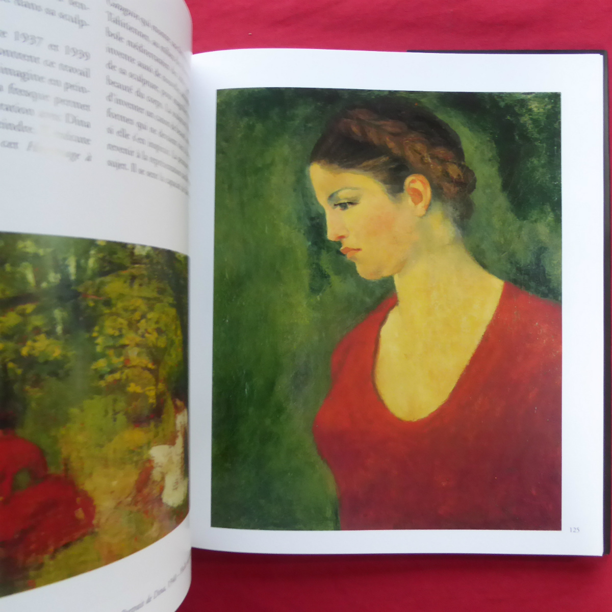 Aristide Maillol アリスティド・マイヨール 西仏英文)アリスティド