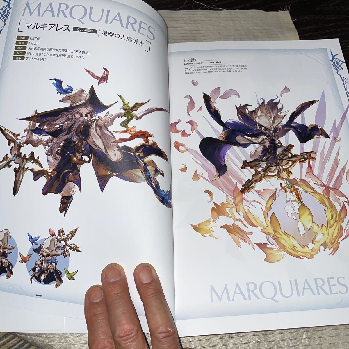 グランブルーファンタジー Graphic Archive 特典シリアルコード 封入 公式設定資料集 第 弾 原画 設定資料集 売買されたオークション情報 Yahooの商品情報をアーカイブ公開 オークファン Aucfan Com