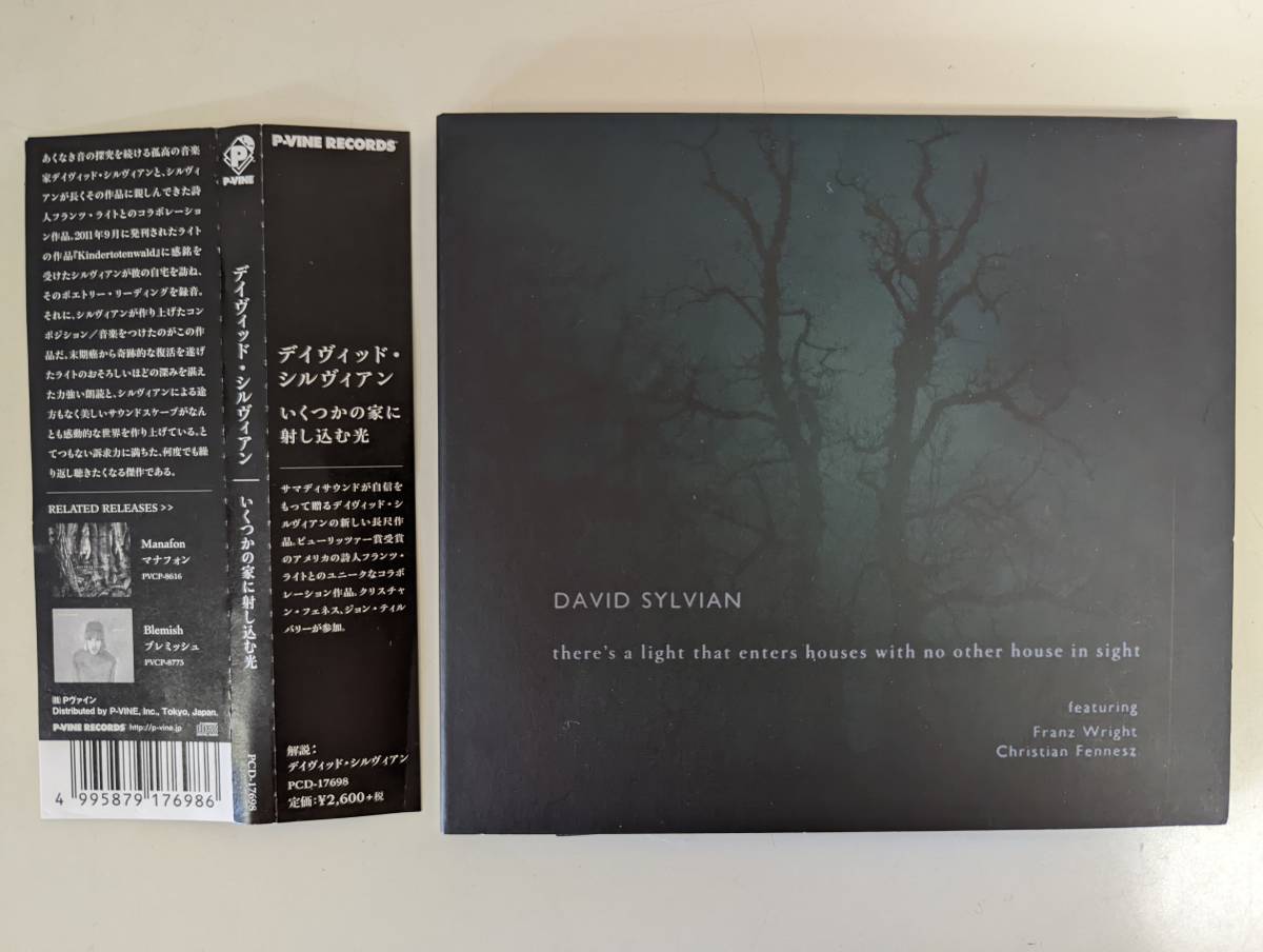 m326 David Sylvian/デヴィッド・シルヴィアン/いくつかの家に射し込む