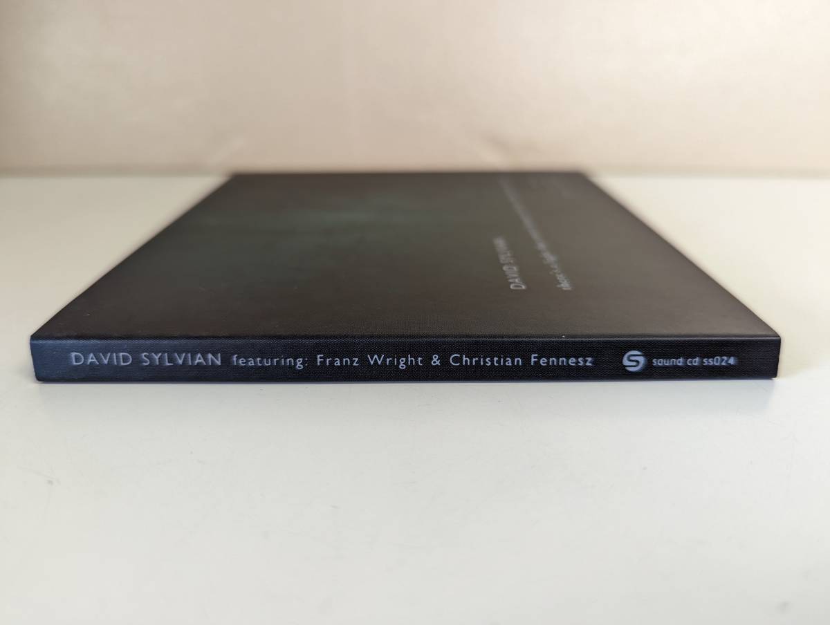 m326 David Sylvian/デヴィッド・シルヴィアン/いくつかの家に射し込む