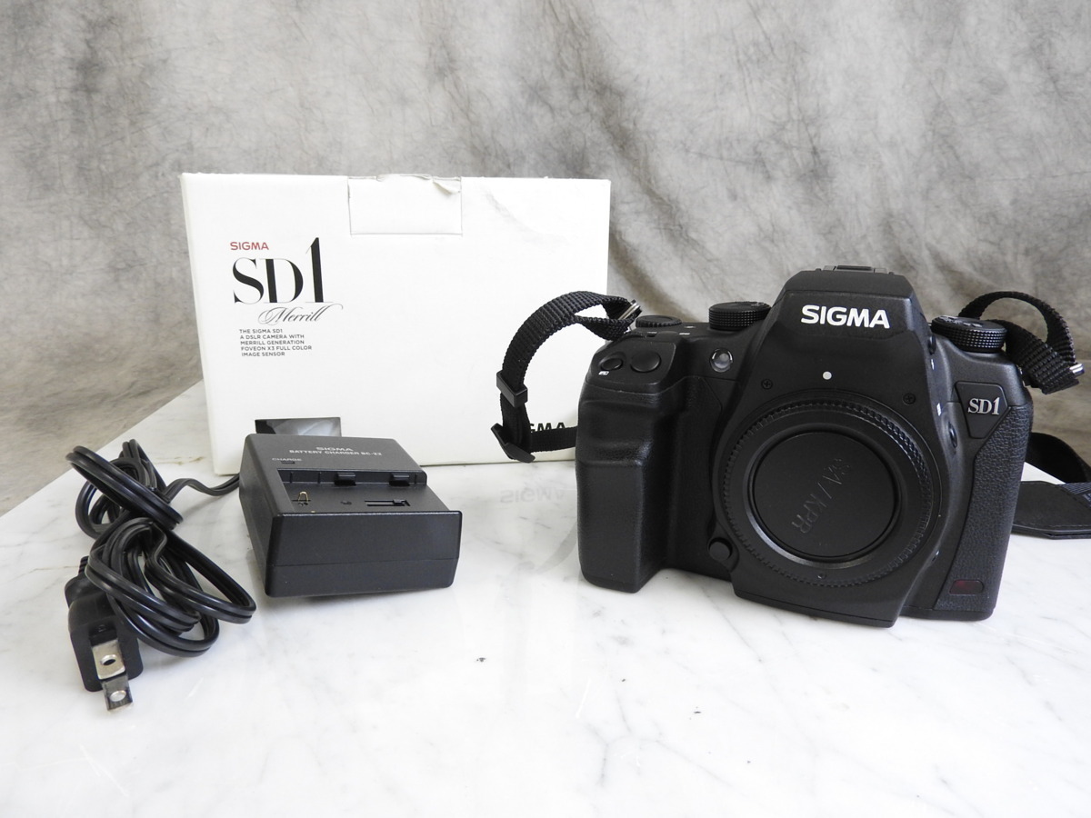 SIGMA シグマ SD1 Merrill ボディ 【公式通販】