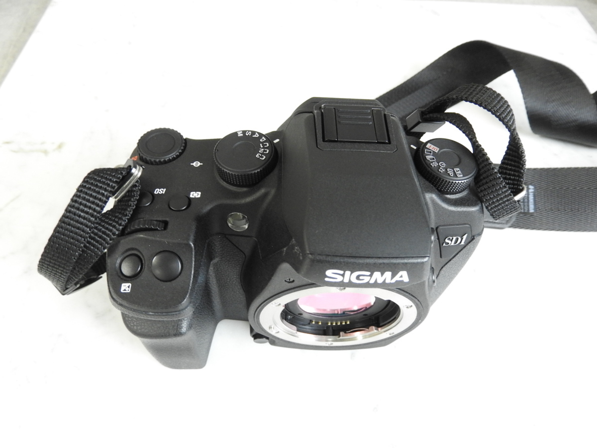 SIGMA シグマ SD1 Merrill ボディ 【公式通販】