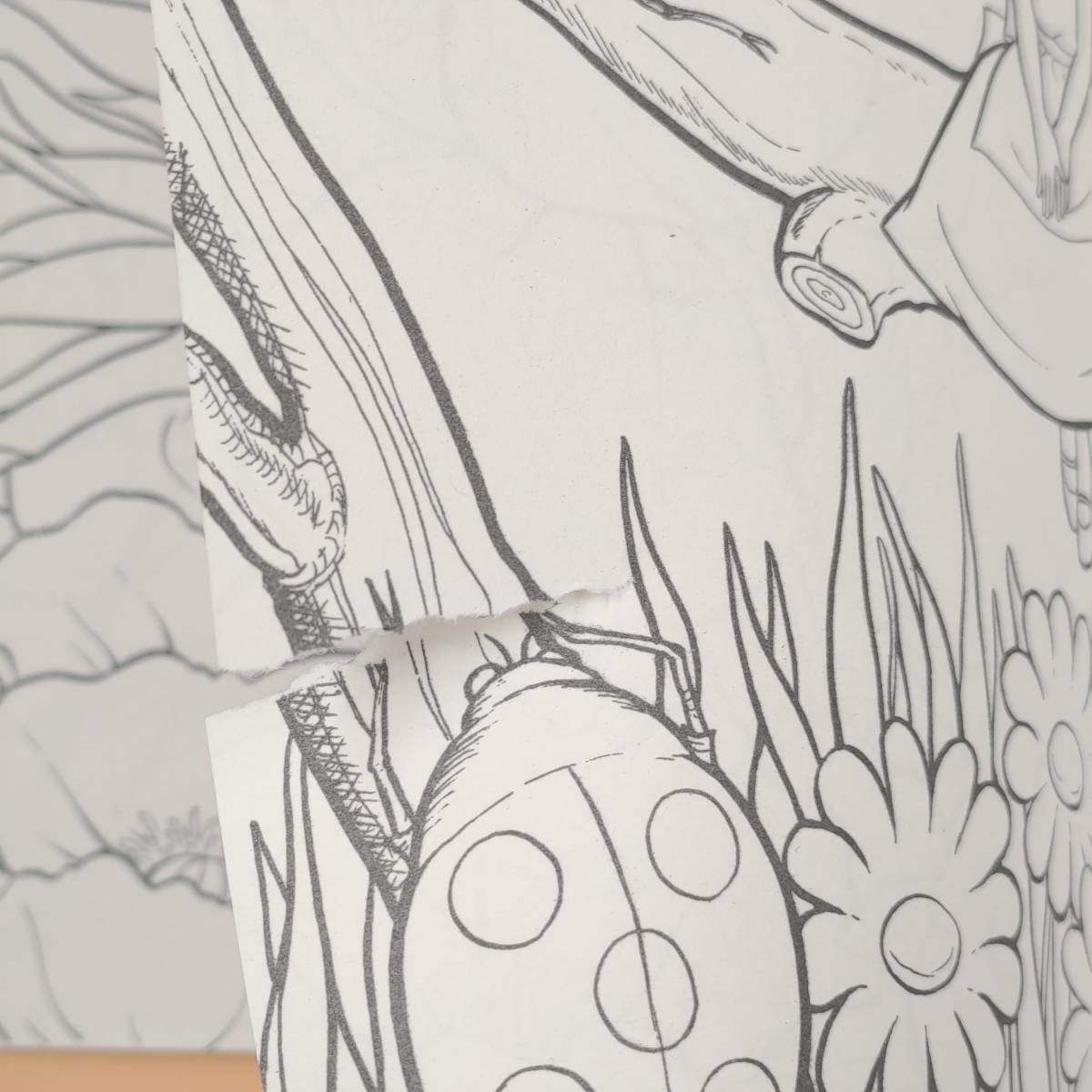 未使用品 サンスター 谷ゆきこ ぬりえ3点 おやゆびひめ 昭和 レトロ 印刷物 Estudiocontablevmc Pe