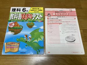 教科書ぴったりテスト小学6年 4冊セット 未使用 未開封の中古品 Bhinternalmedicine Com