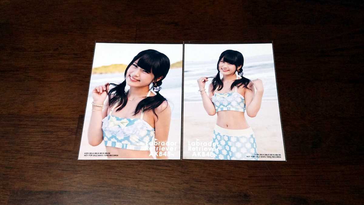 AKB ラブラドールレトリバー 通常 生写真 【公式通販】