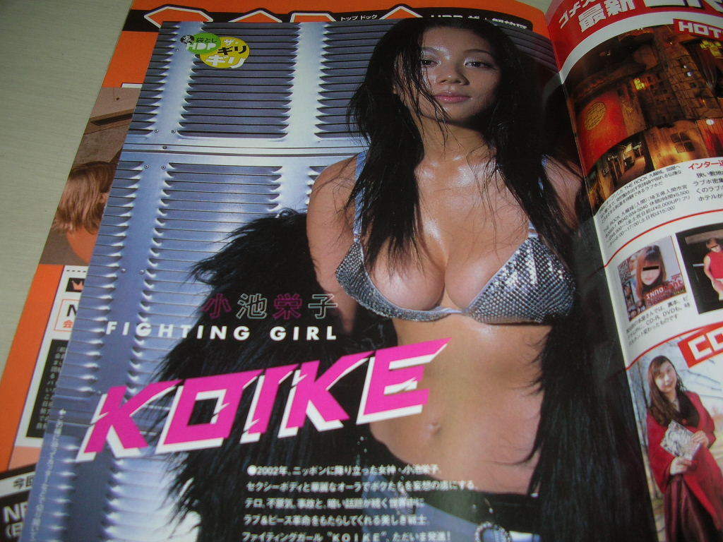 ホットドッグプレス Hot Dog PRESS NO.520 2002年1月28日号 小池栄子