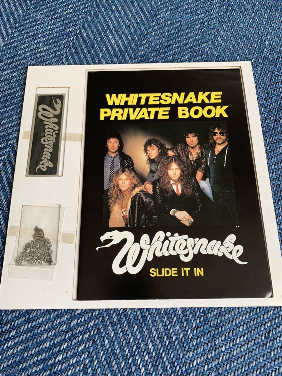 It Slide In Whitesnake - WHITESNAKE Vinyl ⁄ 0 Geffen LP Records