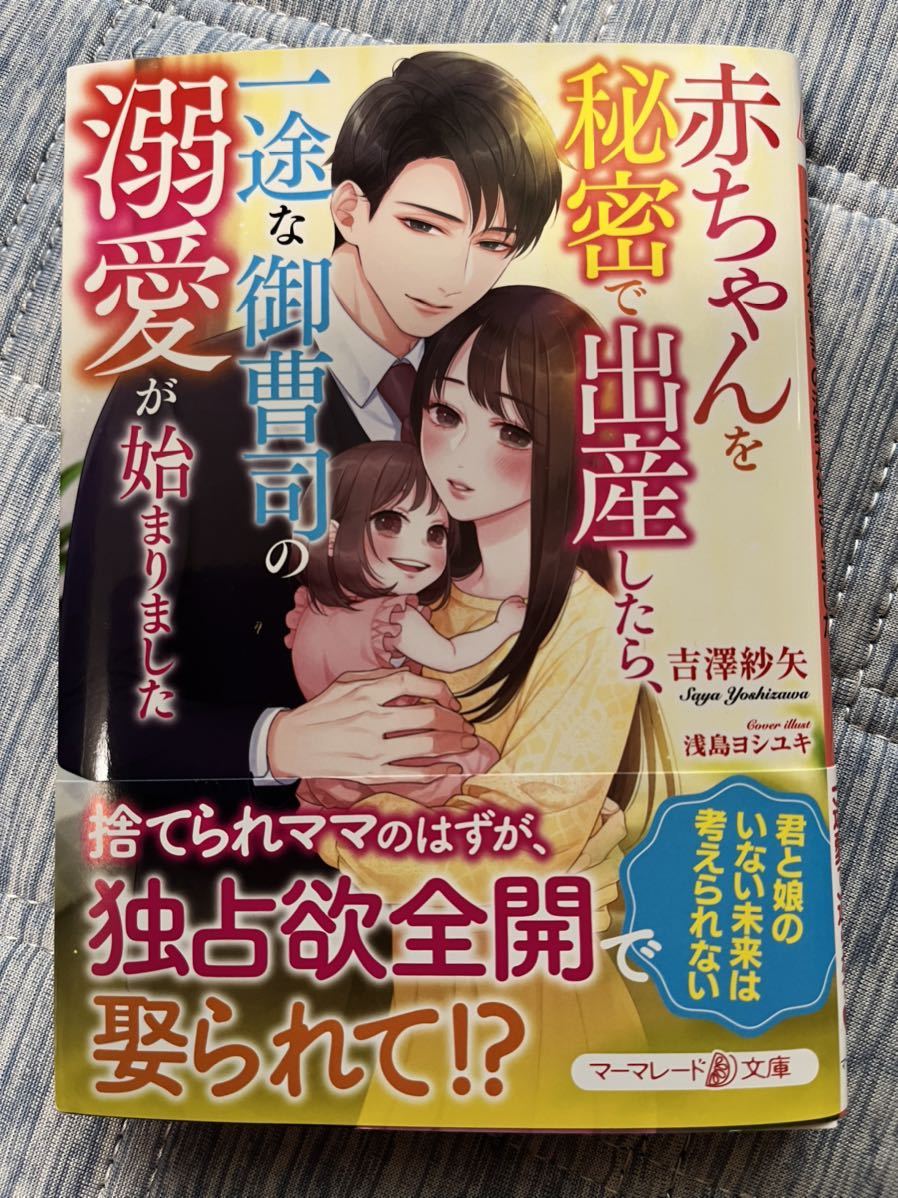 極上パイロットの赤ちゃんを溺愛初夜で宿しました ベリーズ文庫 10 21 文庫 紅カオル 著 21最新作 文庫