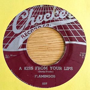 ソフト未開封 Dvd One Piece Log Collectiondoflamingo Tvアニメ第721話 第733話 Www Sepidehsch Ir