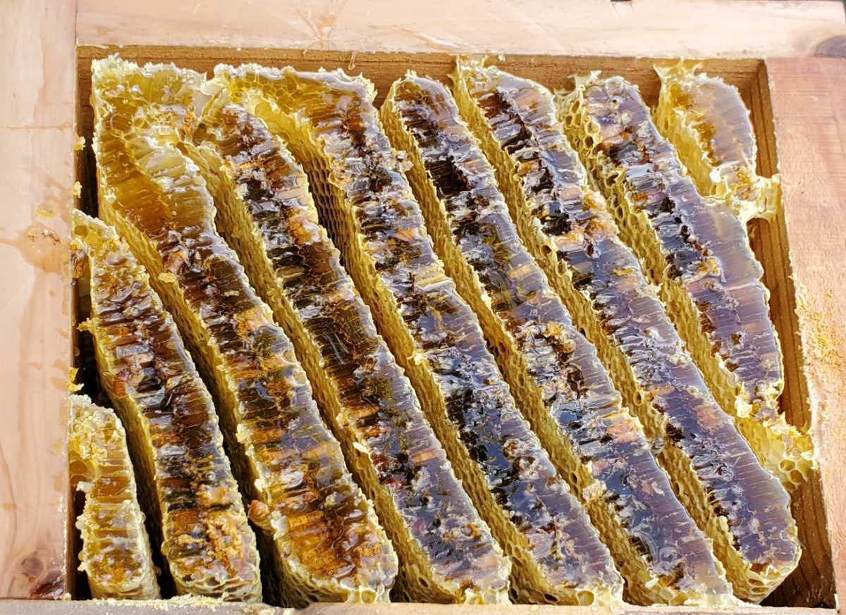 公式通販 1200g 日本ミツバチの蜂蜜 ☆日本蜜蜂のはちみつ☆1200g(6瓶