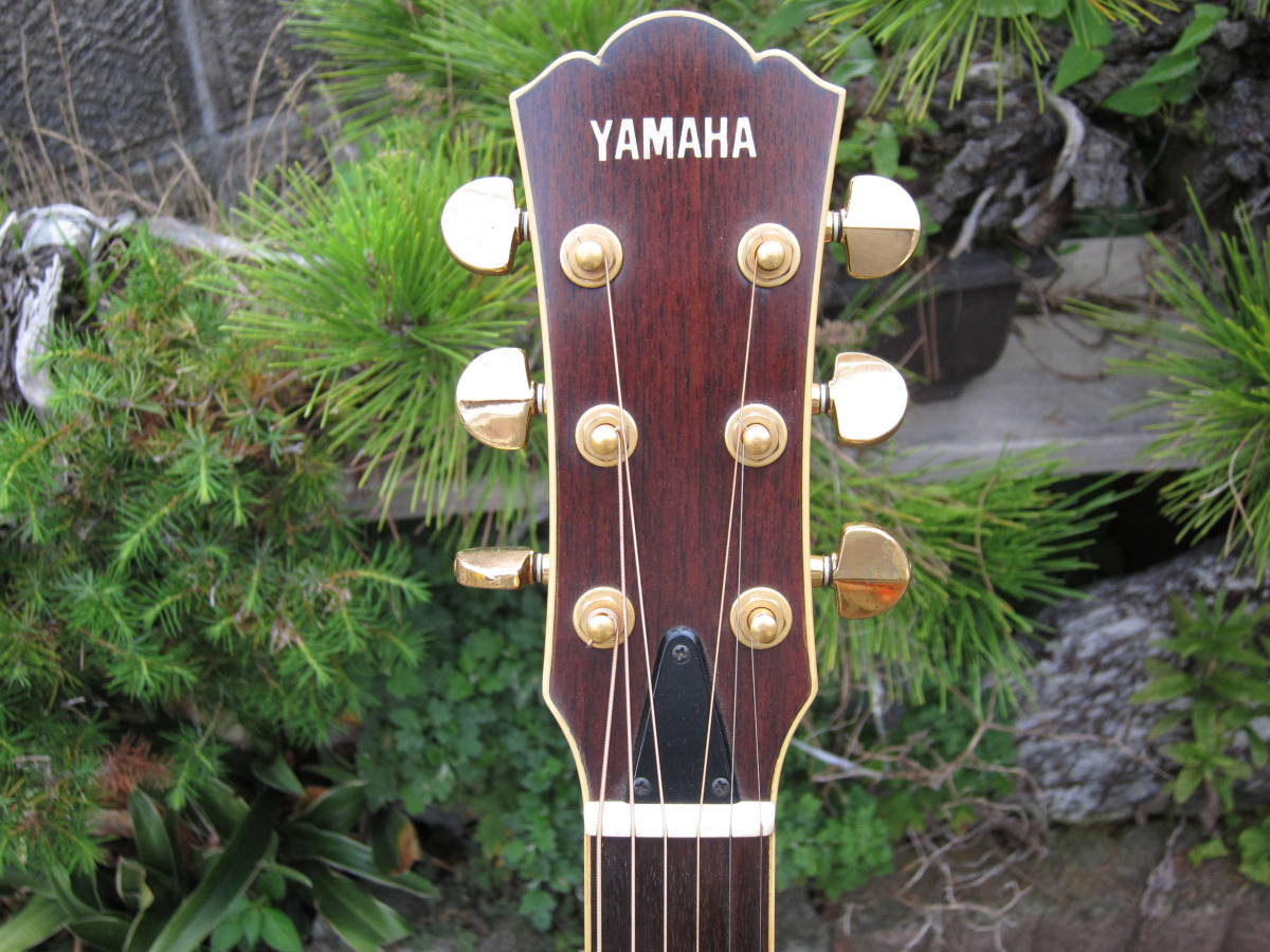 YAMAHA LEX-8 (LS-10の前身) YAMAHA | LEX-8 [SN Yamaha ブラック