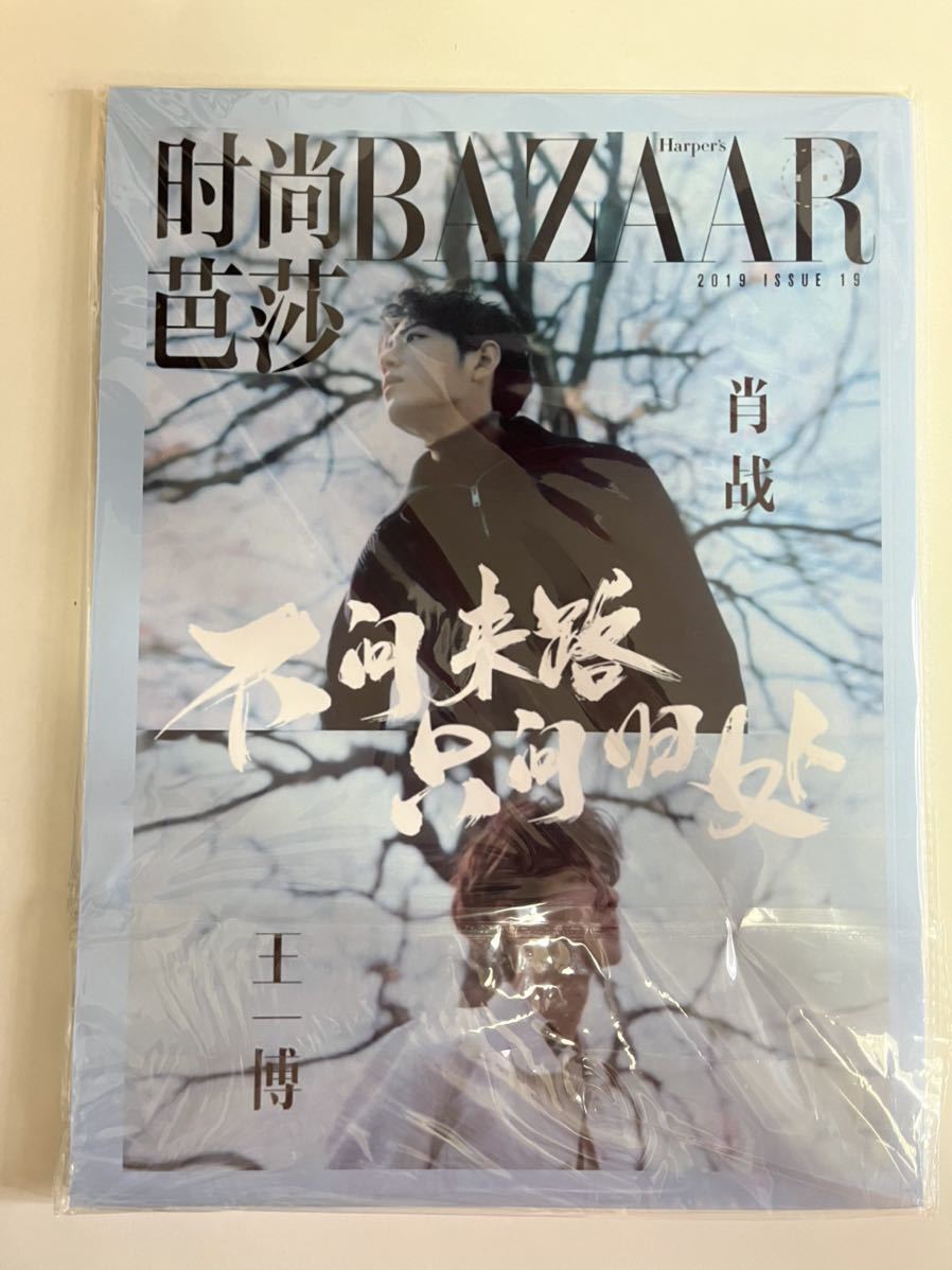 陳情令 限定写真集 博君一肖 肖戦 王一博(タレントグッズ)｜売買された