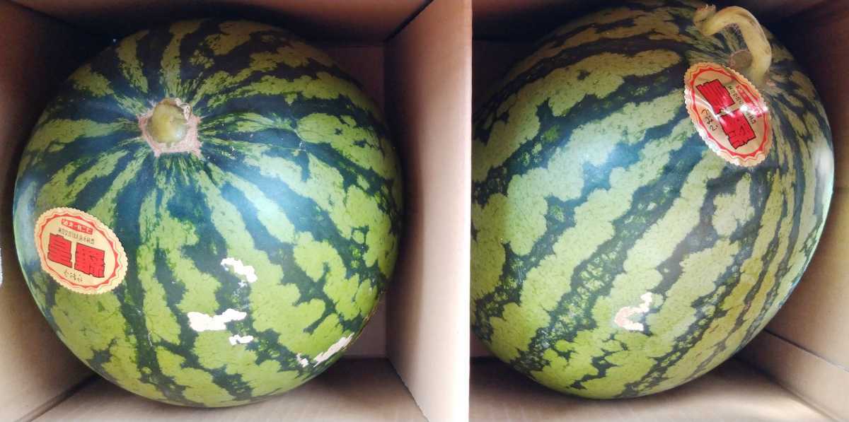 野菜、果物 小玉スイカ 2箱 (1箱辺り3～6玉入・送料無料) ※