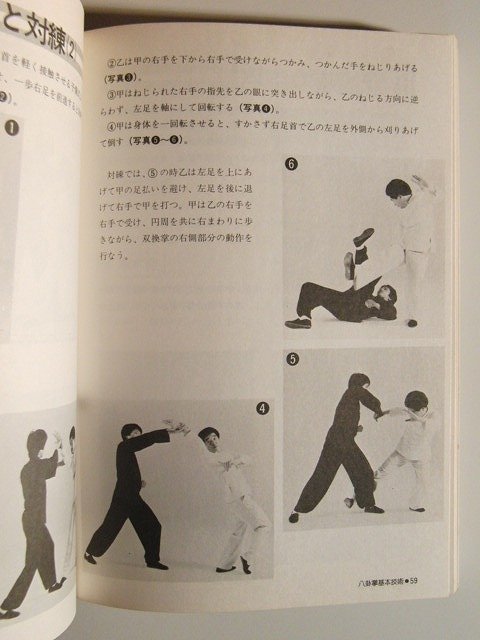 神秘の拳法 八卦掌入門◇松田隆智/高橋賢/日東書院/昭和59年 【公式通販】