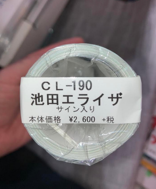最終出品 本物 みんな エスパーだよ のヒロイン 池田エライザ2019