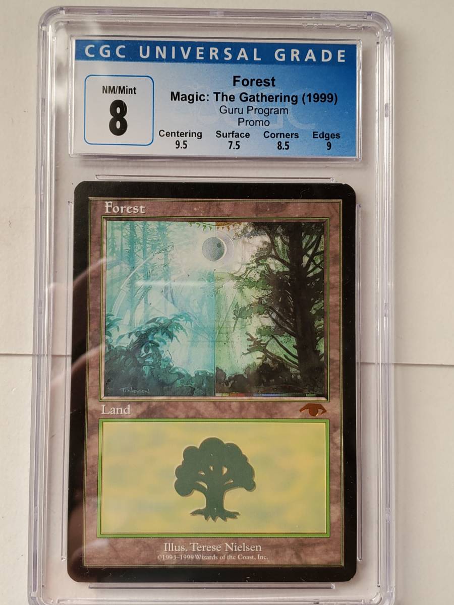 MTG』森 グルランド 13 MTG』森 グルランド 13 森/Forest》[Guruランド