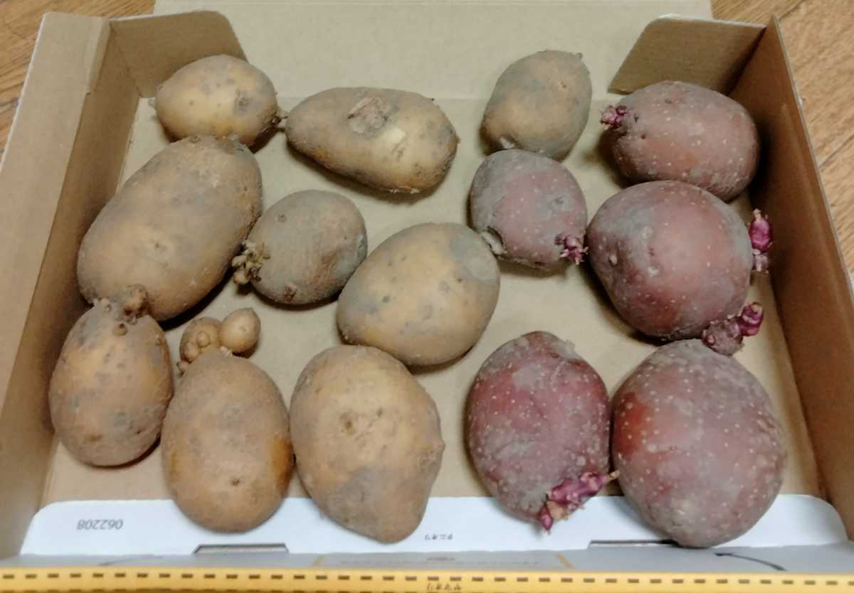 アンデスレッドの値段と価格推移は 9件の売買情報を集計したアンデスレッドの価格や価値の推移データを公開