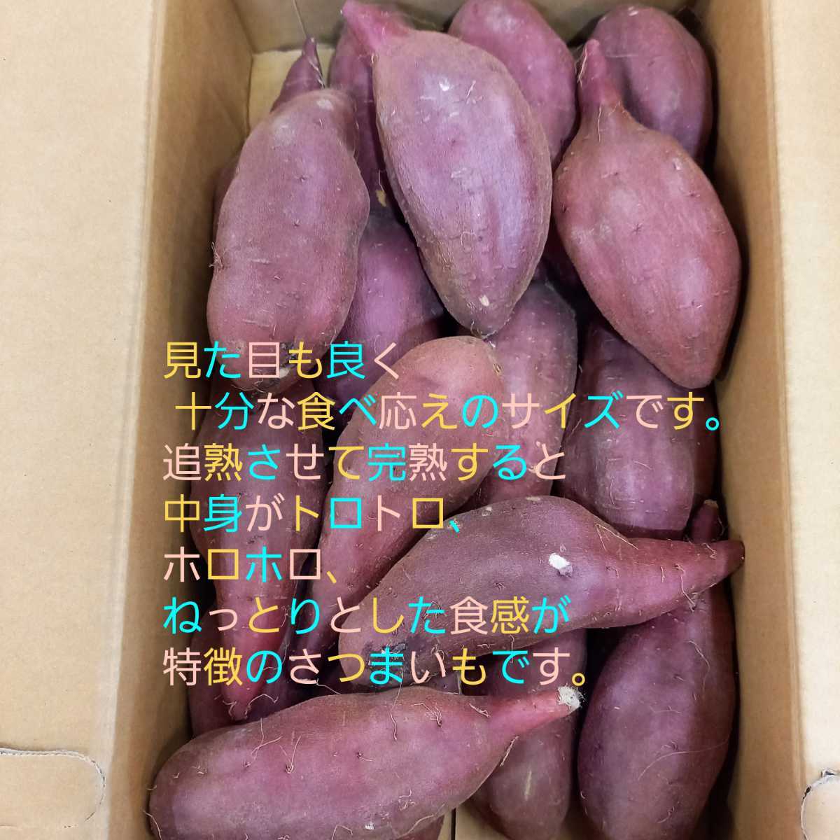 24キロ重量おまけ付令和4年度新物紅はるかM＆Lサイズ茨城県土付減農薬