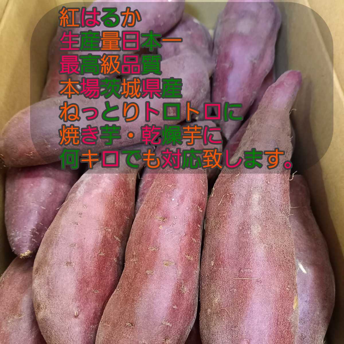 茨城県産紅はるかL40キロ YU品 24キロ重量おまけ付令和4年度新物紅はるかM＆Lサイズ茨城県土付減農薬
