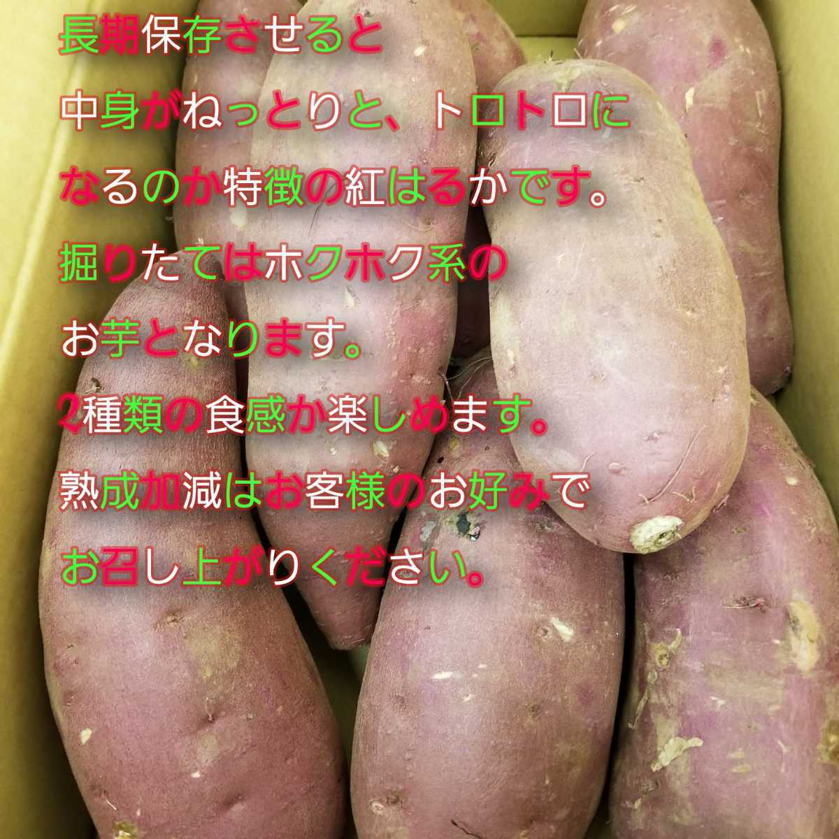 24キロ重量おまけ付令和4年度新物紅はるかM＆Lサイズ茨城県土付減農薬