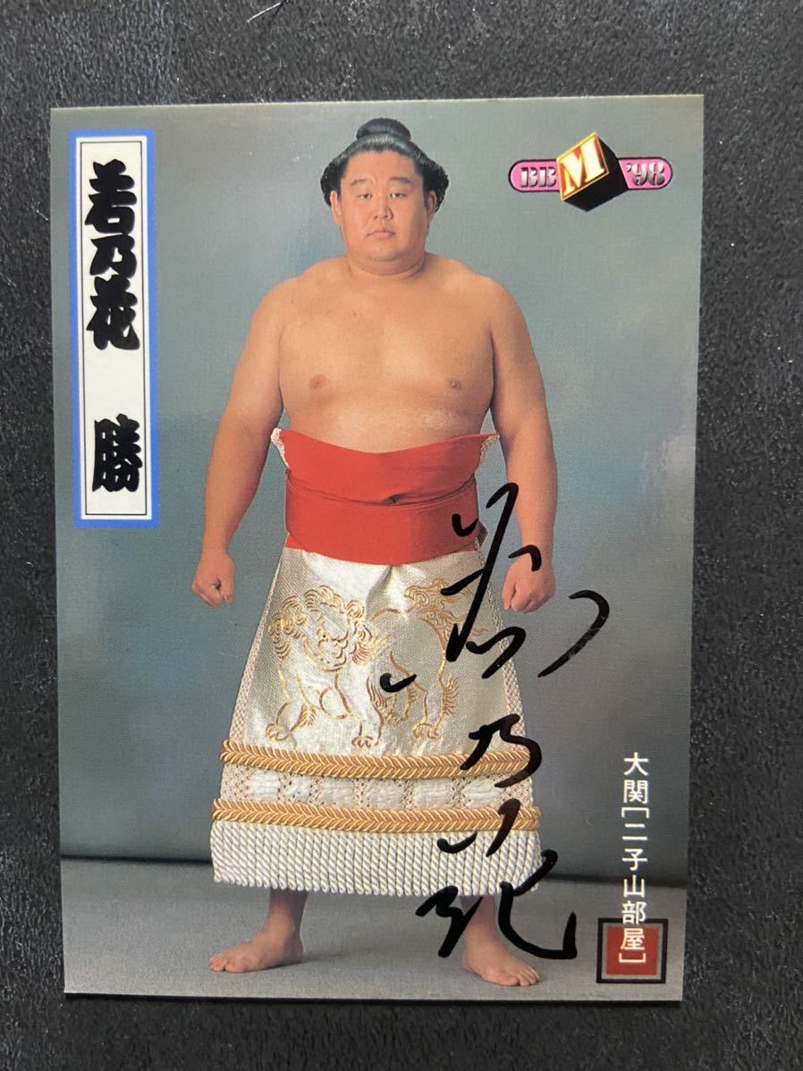 若乃花 大相撲 貴乃花 直筆 力士手形 サイン 曙 貴ノ浪 道 額 - Yahoo 