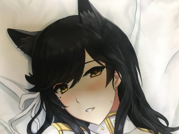 正規品 アズールレーン】抱き枕カバー 愛宕(おにくん) C95/斬鬼楼(抱き 