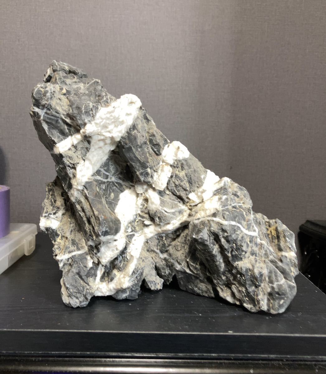 ADA龍王石 親石2つ 副石3つ ADA龍王石 親石