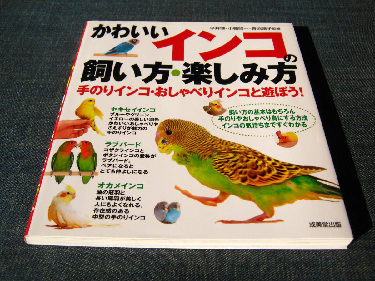 かわいいインコ 楽しみ方の値段と価格推移は 5件の売買情報を集計したかわいいインコ 楽しみ方の価格や価値の推移データを公開