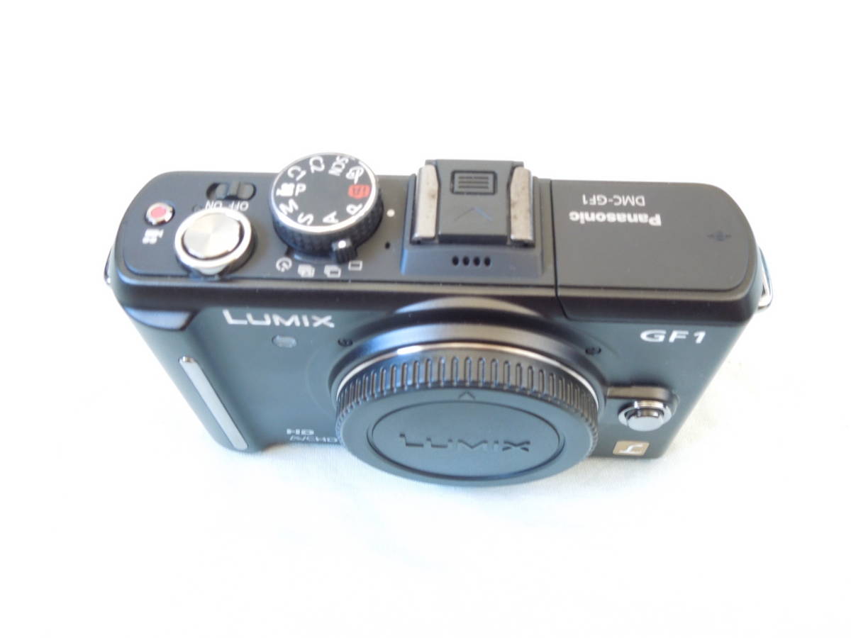 LUMIX DMC－GF1 カメラバックおまけ
