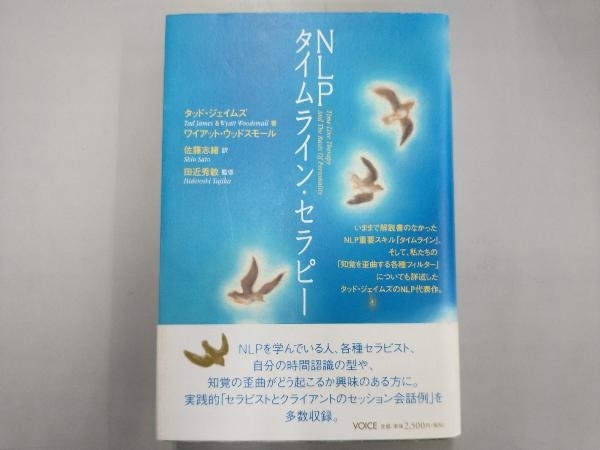 NLPタイムライン・セラピー Line Therapy and the Basis of NLP