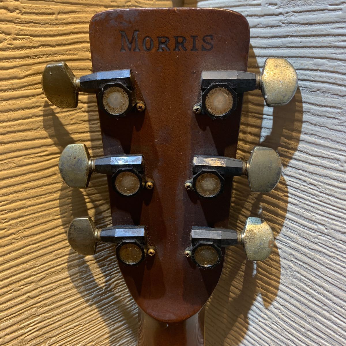 MORRIS モーリス アコースティックギター NAT Morris (ナチュラル