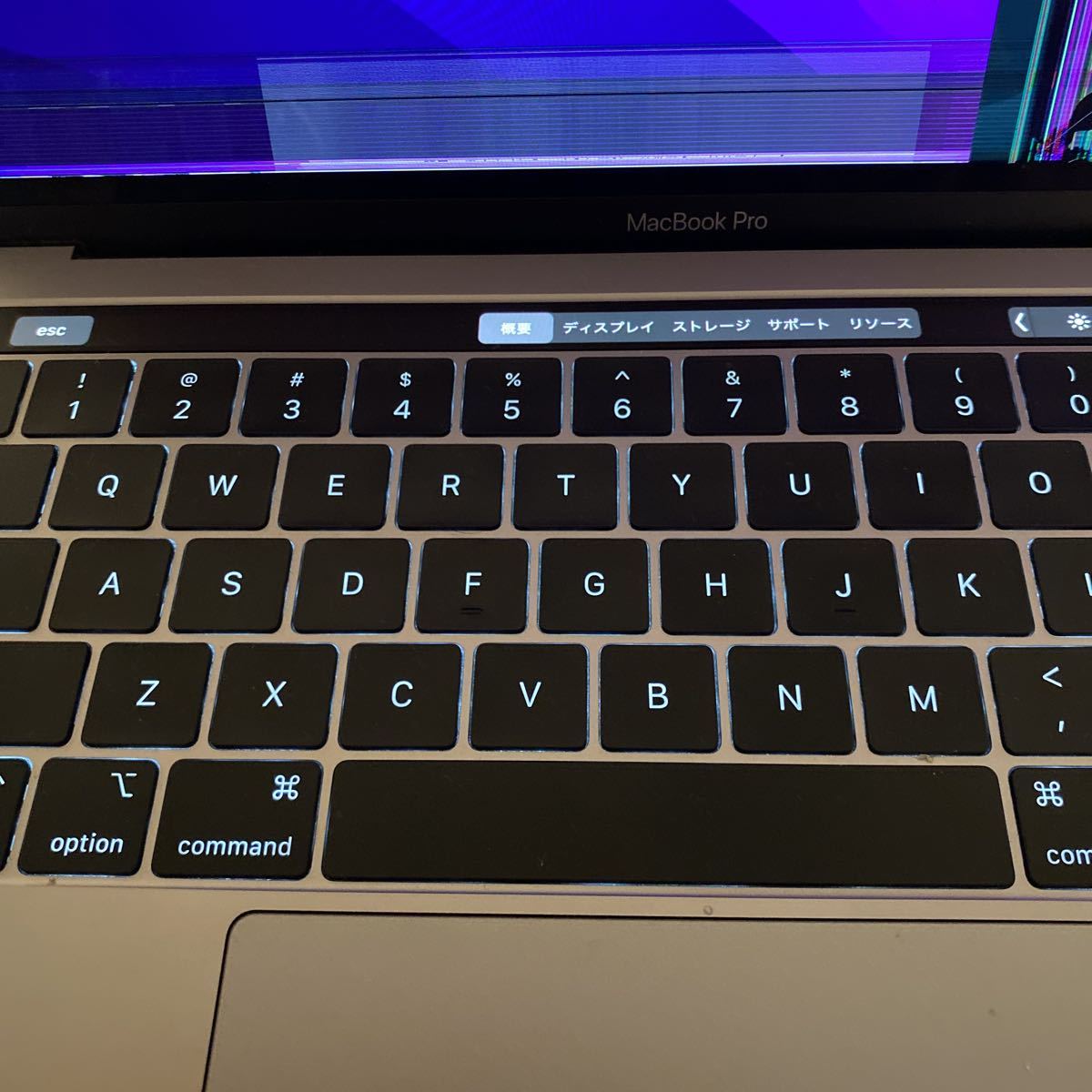 MacBook Pro 0 ジャンク 13インチ 液晶表示不良 13inch A2159 Apple