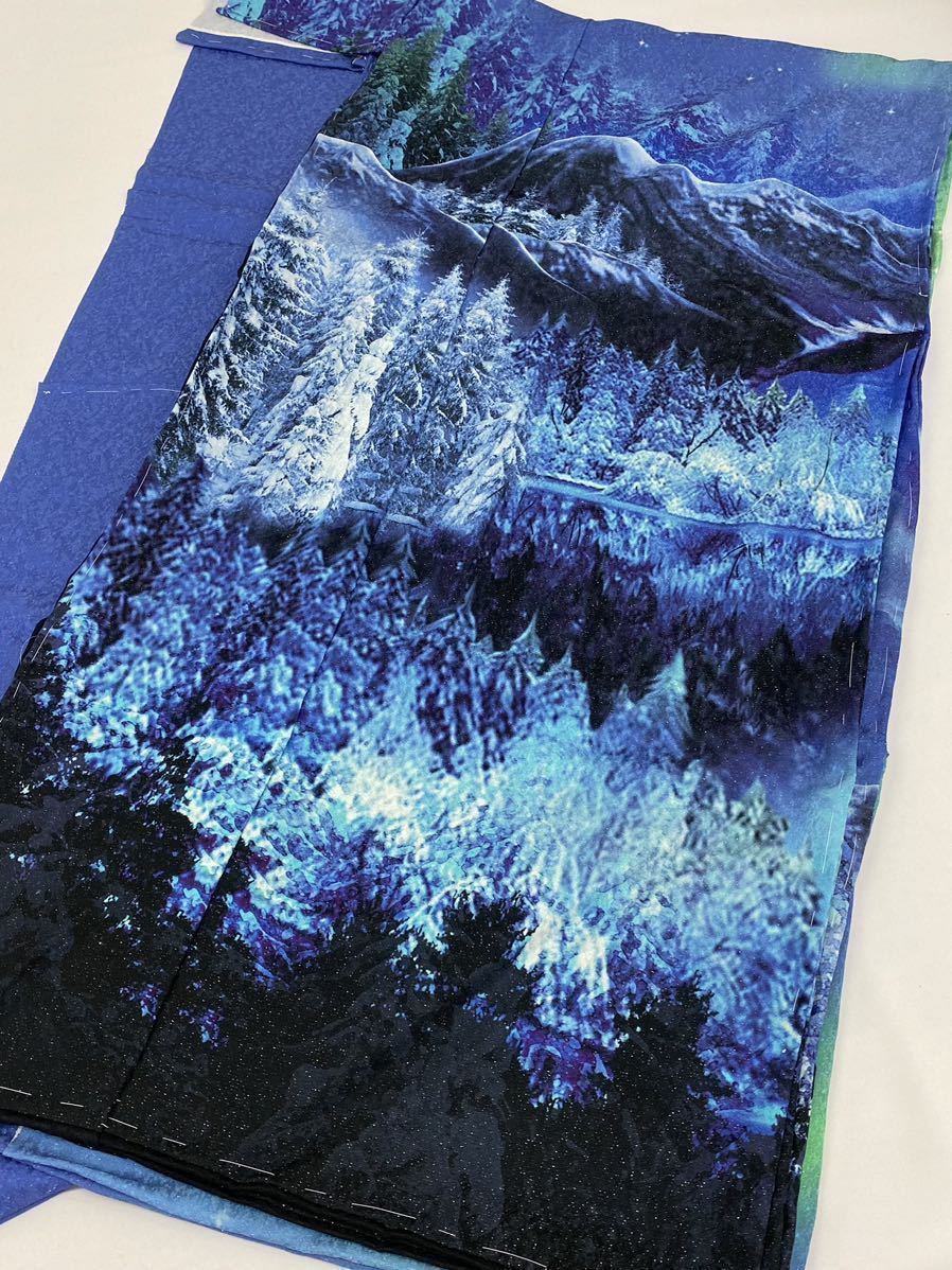 訪問着 | 仮絵羽の通販 BELECO 仮絵羽 オーロラ 銀通し 未仕立て品 9x6フィート 夜空 背景幕 雪をかぶった山々 湖 風景 極地のライト アメリカ、オーロラ情報・現地オプショナルツアー予約はJTBのルック