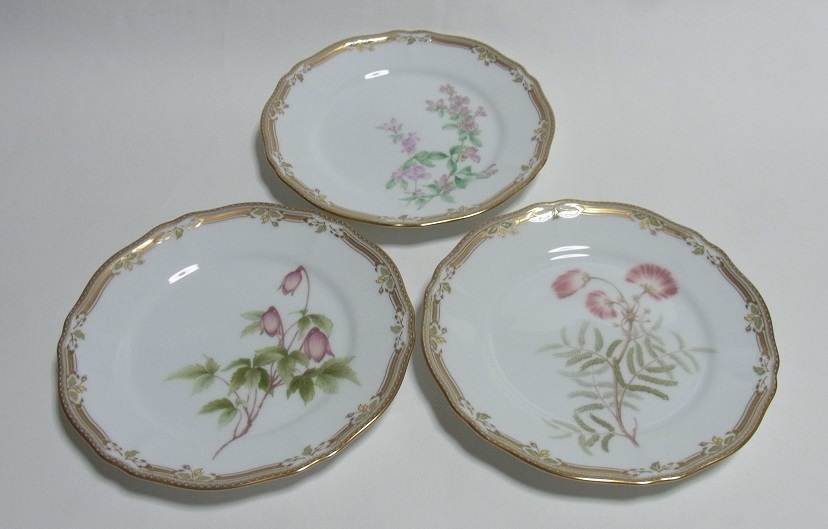 美品 Noritake ノリタケ GALA CONTESSA ガラコンテッサ プレート 絵
