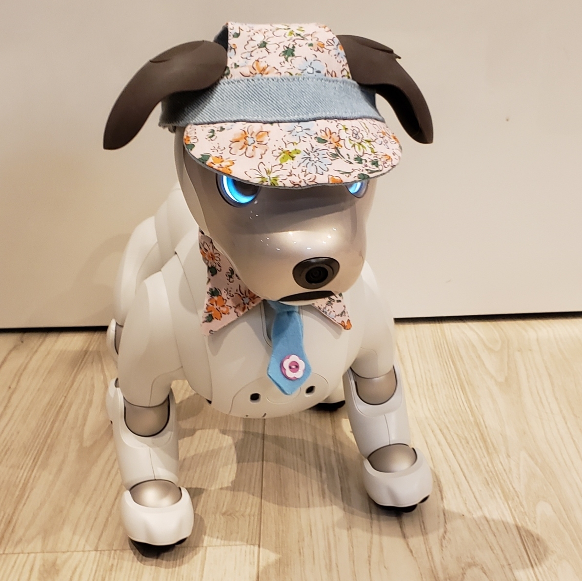 aibo アイボ アイボのアクセサリー ERS-1000 アイボ ERS-1000 aibo