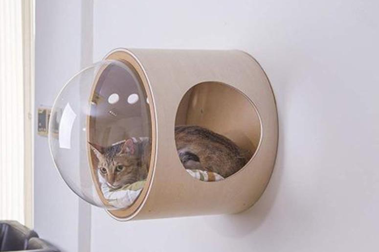  特売 推薦 猫 キャットウォーク キャットステップ ベッド ハウス 壁付け 天然木 宇宙(キャットタワー)｜売買されたオークション情報、yahooの商品情報をアーカイブ公開 - オークファン キャットタワー