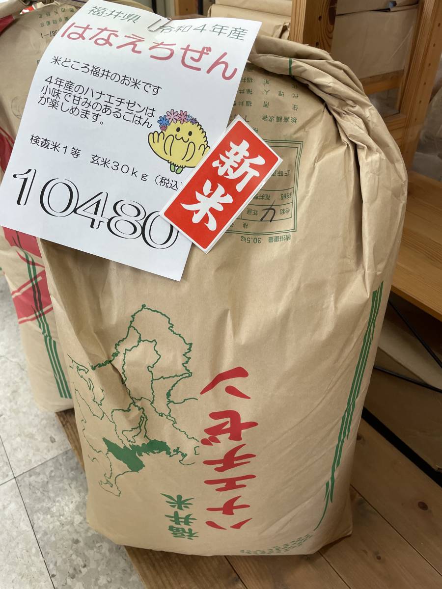 25kg令和４年福井県産 華越前 検査米1等 精米（白米）25キロ（10.05kg×２と5.05ｋｇ）☆送料無料(北海道沖縄を除く)2022年産ハナエチゼン
