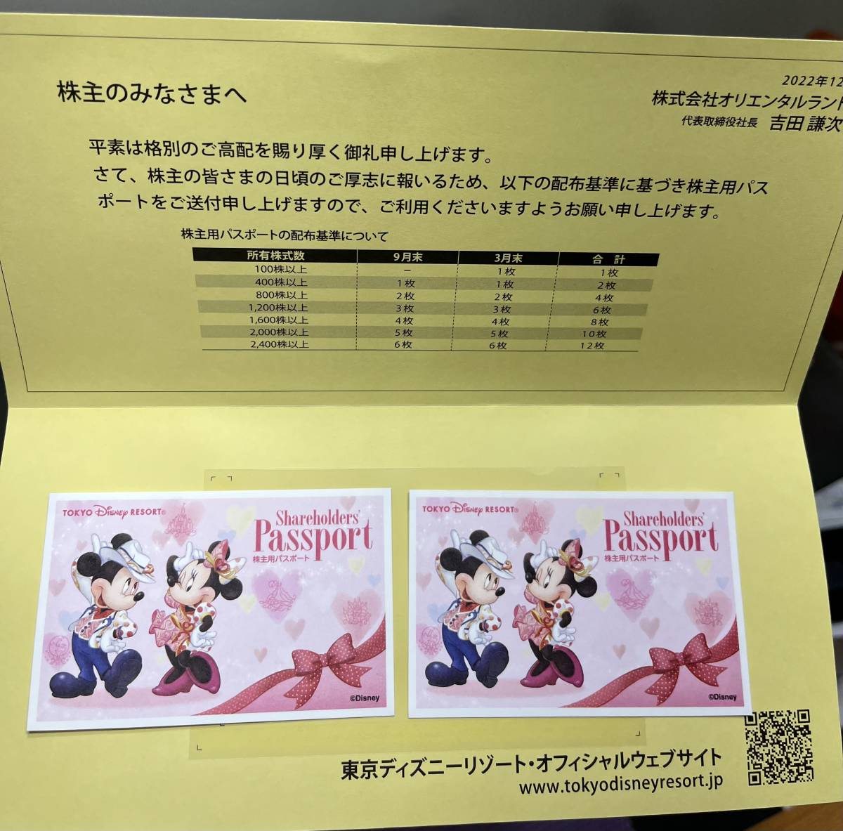 ☆送料無料☆ ◆◇ディズニーランド株主優待券　有効期限　2024/01/31　2枚◇◆