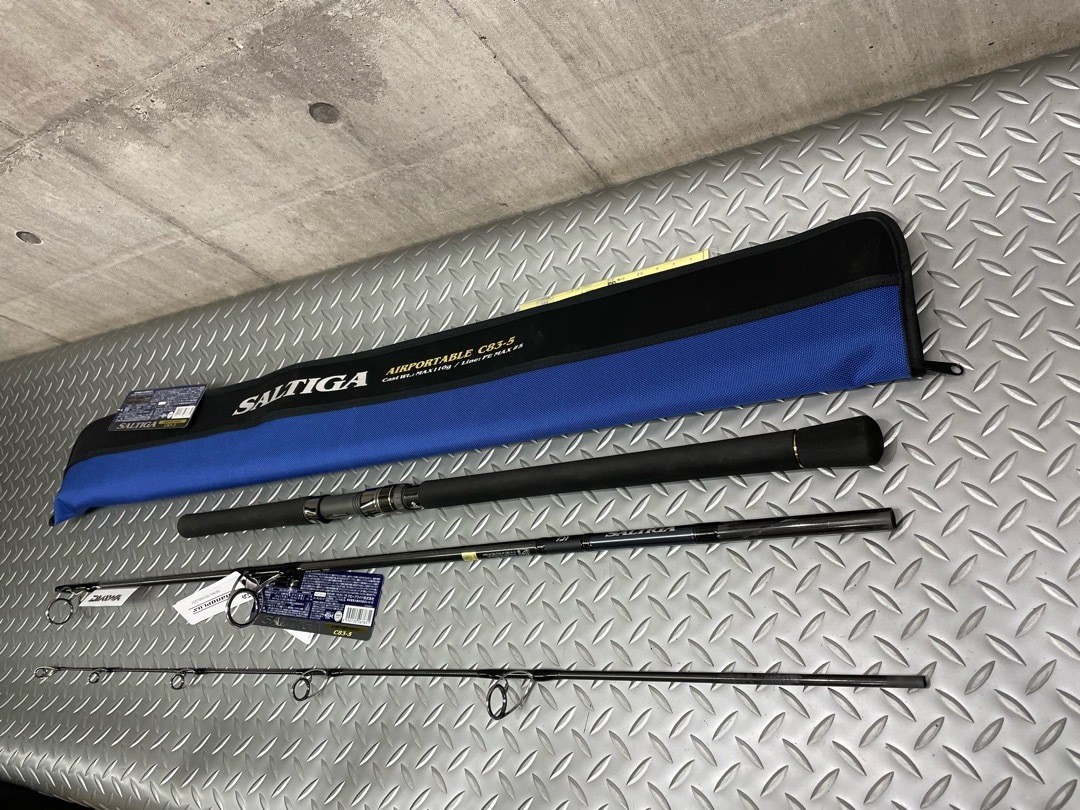 エアポータブル ソルティガ ダイワ DAIWA SALTIGA AP フィッシング