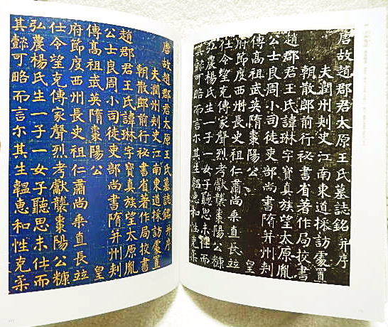 ☆図録 特別展 顔真卿 王羲之を超えた名筆 東京国立博物館 2019